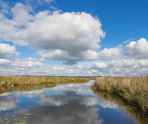 Earsham Wetland Center